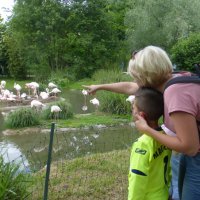 Narresume-Ausflug Basler Zoo